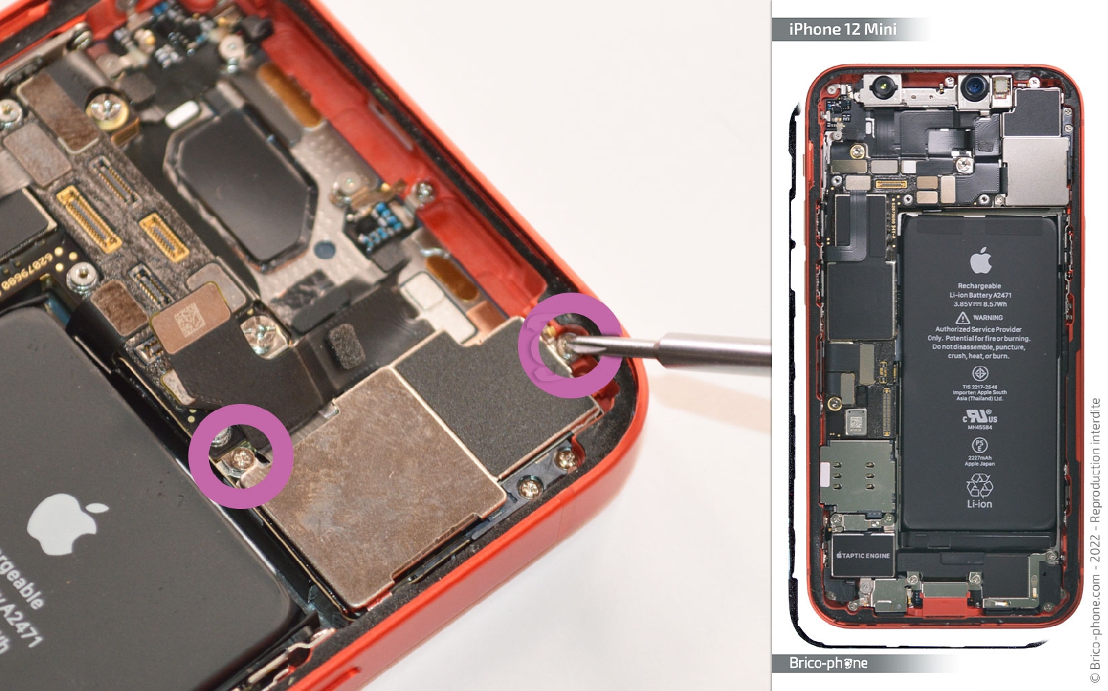 Comment changer le châssis complet sur iPhone 12 Mini photo 1